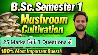 B.Sc. Sem-1 Botany Mushroom Cultivation Complete Answer 25 Marks Fungi Agaricus Spawn #bsc #botany 