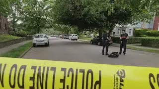 Police investigating shooting in Squirrel Hill