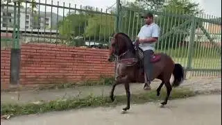Modista de Colores
