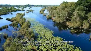 Reduced version  VOICES OF THE GUARAN&Iacute;
