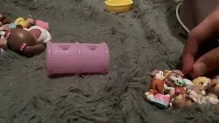 The mama surprise families go to the camping site episode 7 - The pups are going to sleep