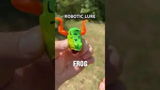 ROBOTIC FROG LURE is TOP TIER🎣 #shorts #fishing #bassfishing