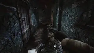 Escape From Tarkov Shotgun blast scav