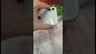 ￼ iPhone 11 доставка по всей России на заказ напишите в WhatsApp +79299613232￼