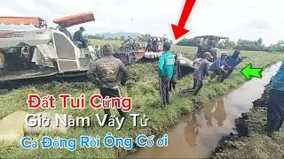 Đội Máy Cắt Dùng Vẩy Cố Gắng Tháo Chạy  Thóc 2 Ngày Chưa Ra Nổi Quá Lầy Lội l Dũng Miền Tây 