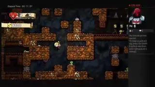 Kaij's Live Spelunky PS4 Broadcast 1st Stream