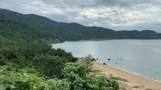 Scenic Coastal View with Gentle Insect Sounds | Free Nature Footage
