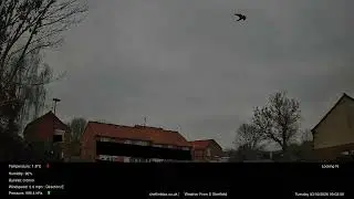 Time-Lapse 03 February 2026  - Sheffield UK