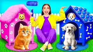 Kami Membangun Rumah untuk Hewan Peliharaan oleh BaRaFun Challenge