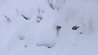 BILLY GOAT SNOWBOARD 18/19 | GNU