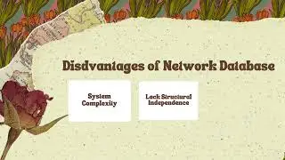 NETWORK DATABASE