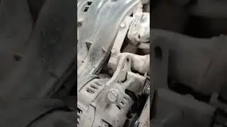 mesin mobil kalau  pagi ada suara tikusnya