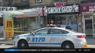 Police: Man stabbed to death in the Bronx, one person in custody