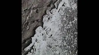 Vekh - Circulate [KRDVA.ST.2.0]
