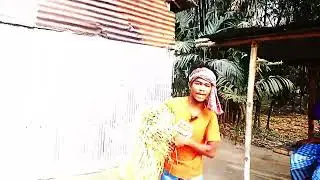 All frwnt গ্ৰামের ছোঁয়া #comedy #unfrez #comedyfilms #funny #comedymovies #facts