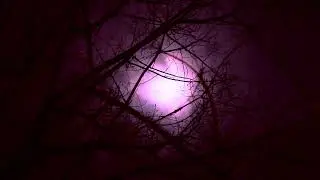 You are all alone  - 45 minute Generative Dark Ambient for Writing Horror Stories