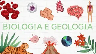 Biologia 10º ano: Trocas gasosas nos animais 🐐