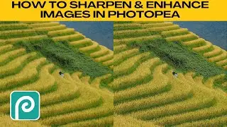 Come RAFFINARE e MIGLIORARE le immagini in Photopea