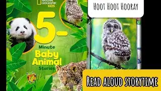 5 Minute Baby Animal Stories: Hoot Hoot Hooray Read Aloud Storytime | StorySquawk