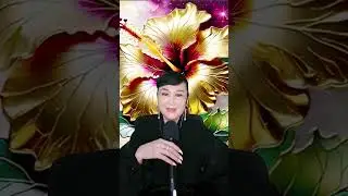 @KimChannel /Thương  về miền đất lạnh Đăng Kh&ocirc;i karaoke/Kim cover