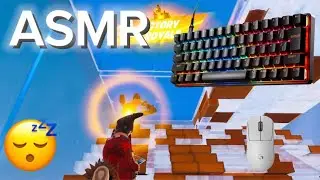 SteelSeries Apex Pro Mini ASMR 😴 Fortnite Nomal Reload 🏆 Satisfying Keyboard Fortnite 360 FPS
