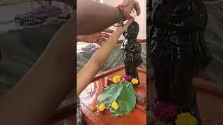 #shortvideo #youtubeshorts #shorts #lifeingoa