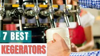 7 Best Kegerators