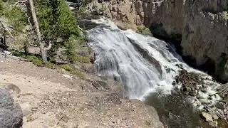 Gibbon falls of Yellowstone