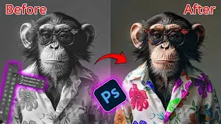 How to Use Object Selection & Quick Selection Tools in Photoshop | Remove Background Easily