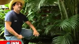 Por fin le pagan a agapito - INN