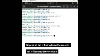 Linux Tutorial:09 - Moving files into a directory #shristitechacademy #linuxtutorialforbeginners