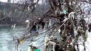 Savjet - Conscience - Dijana Lukić (Bočinja - Maglaj)