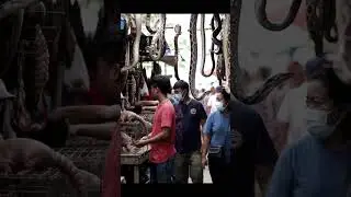 penampakan pasar ekstrem #pasarhewan #pasar #hewanliar #hewanberbahaya #shortsviral #viral #fyp