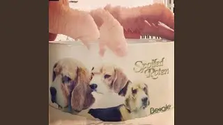 It's Breakfast Time