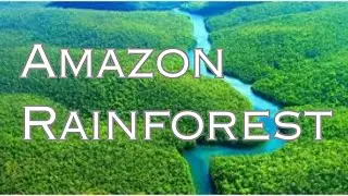 Amazon Rainforest