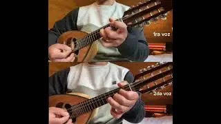 Alabanza “Yo venceré” 1ra y 2da voz mandolina