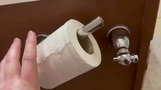 Honest Review of Moen Kingsley Toilet Paper Holder