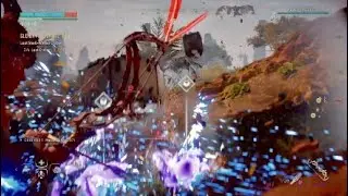 Shell Walker Crate Trial*