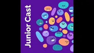 JuniorCast -  Junior Geliştiriciler için Geçiş Süreci