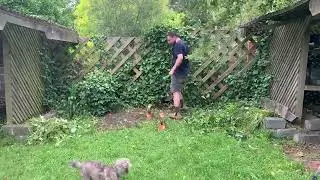Garden Clean Out - Make Over. Before and After