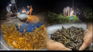 ไม่อยากจะเชื่อว่าจะหากินง่ายขนาดนี้แค่เปิดเสียงแมงจีชอนมาเยอะมาก🦗🦗