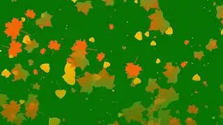 autumn falling leaves green screen | cinematic autumn background stock footage