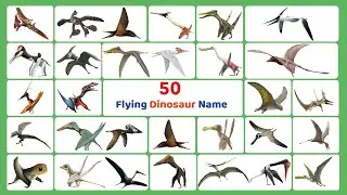 50 Flying Dinosaur Name with Picture II 50 Pterosaurs Dinosaur Name II  Jurassic World Dinosaur Name