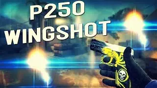 P250 WINGSHOT MW STT - Skinshow #25 CSGO
