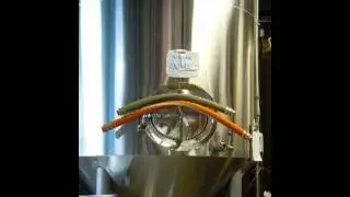 Half Acre Beer Co.