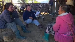 tham txog qhov wb tsis muaj Viv ncaus tu siab kawg