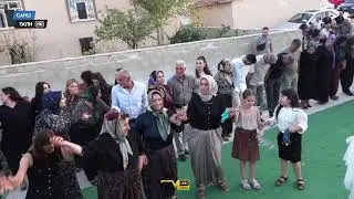 L&uuml;tfiye & Muhammed - Nişane G&ouml;lyazı / G&uuml;ny&uuml;z&uuml; CANLI YAYIN