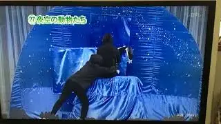 仮装大賞 夜空の動物たち