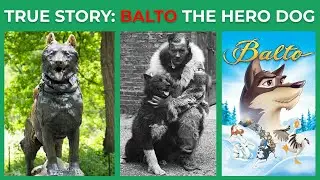 Balto The Bravest Dog Ever: True Story (1920 epidemic of diphtheria)