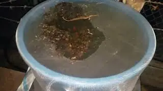 Baje al 